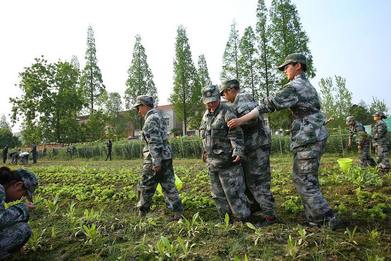 成都温江区有实力的高中辅导班哪家好排名,k12,第2张