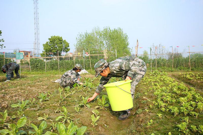 成都温江区有实力的高中辅导班哪家好排名,k12,第1张