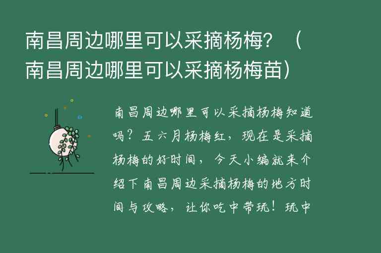 南昌周边哪里可以采摘杨梅？ 南昌周边哪里可以采摘杨梅苗,南昌周边哪里可以采摘杨梅？（南昌周边哪里可以采摘杨梅苗）,第1张