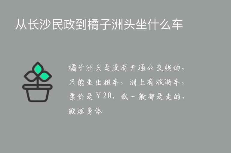 从长沙民政到橘子洲头坐什么车,从长沙民政到橘子洲头坐什么车,第1张