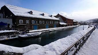 冬季去日本北海道旅游，欣赏鹤居村丹顶鹤,冬季去日本北海道旅游，欣赏鹤居村丹顶鹤,第1张