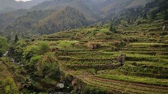 富硒有什么景点 富硒村景点,富硒有什么景点（富硒村景点）,第1张