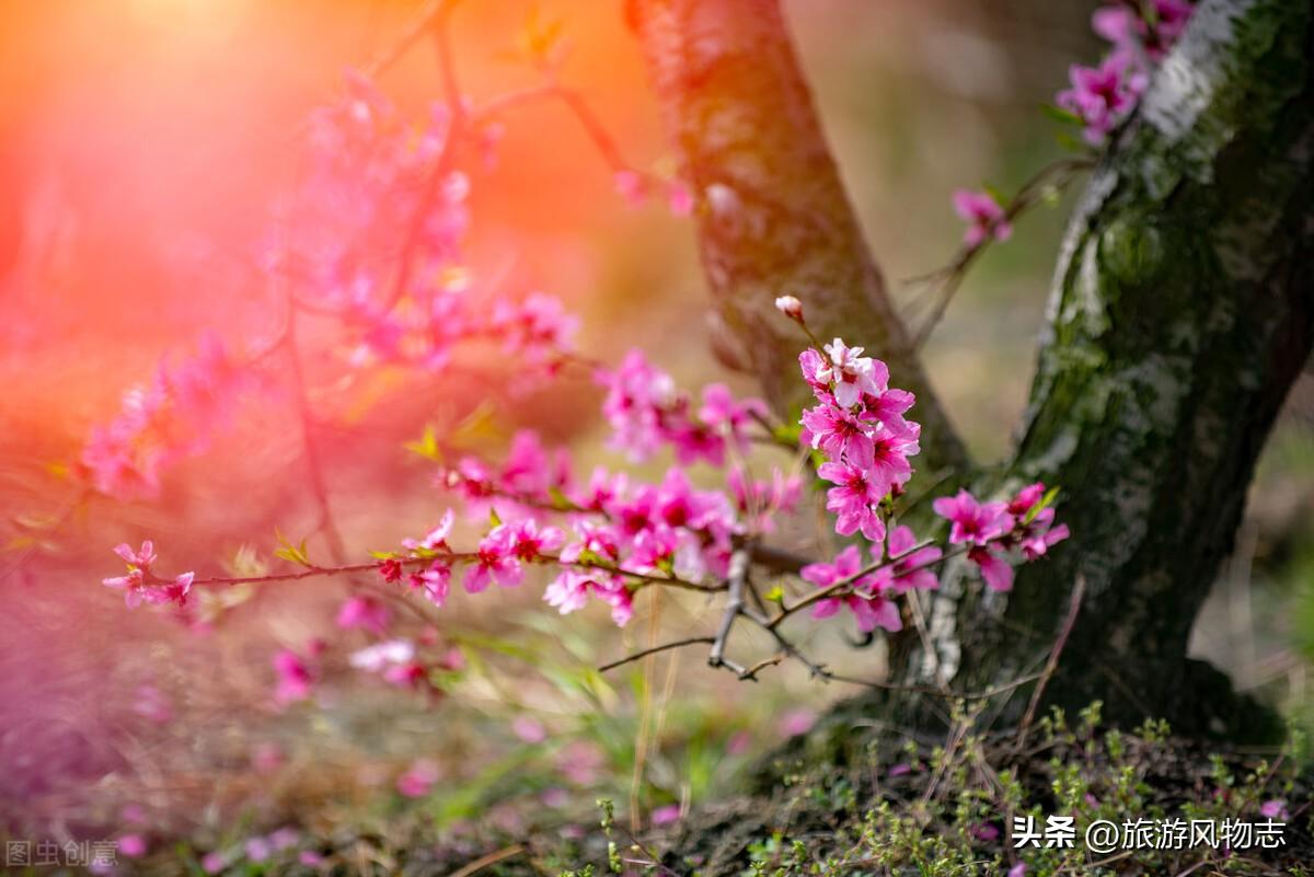 桃花源，究竟在哪里？,第1张