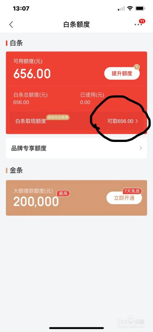 打白条是什么意思,打白条是什么意思,第1张