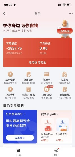 京东白条怎么刷出来，有以下两种情况,京东白条额度是多少，白条额度的类型以及提升技巧有哪些呢？,第2张