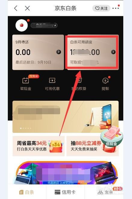 怎样关闭京东白条功能,怎么关闭京东白条额度,第2张