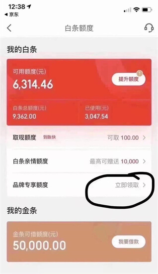 京东白条和金条有什么区别？如何开通京东金条？,现在开通京东白条一般能有多少额度啊？,第2张