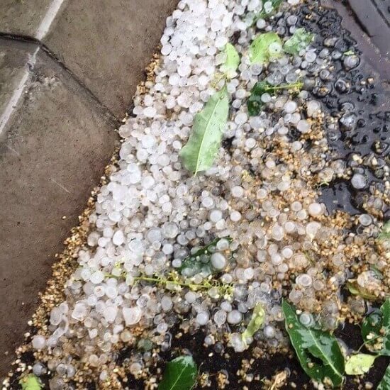 贵阳多地遇冰雹天气：密集雹体铺满地面 居民需要注意什么？,贵阳多地遇冰雹天气：密集雹体铺满地面 居民需要注意什么？,第1张