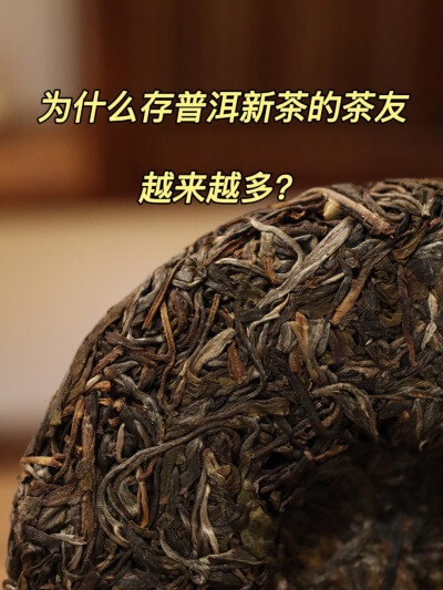 什么是普洱茶 什么普洱茶是最好的？,什么是普洱茶 什么普洱茶是最好的？,第1张