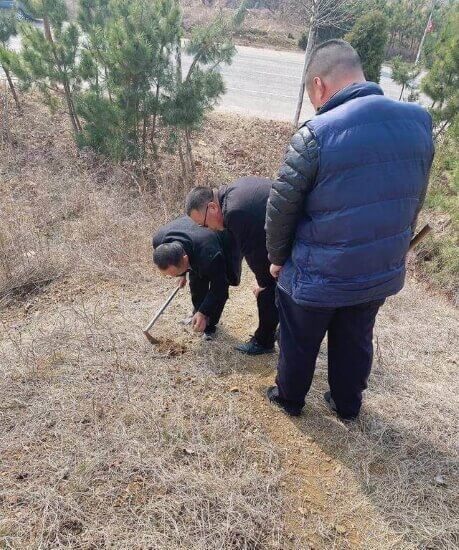 清明节上坟除草 有什么讲究要注意,清明节上坟除草 有什么讲究要注意,第1张