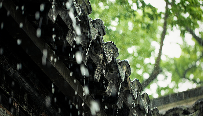 云南的雨季在几月份,雨-125.jpg,第2张