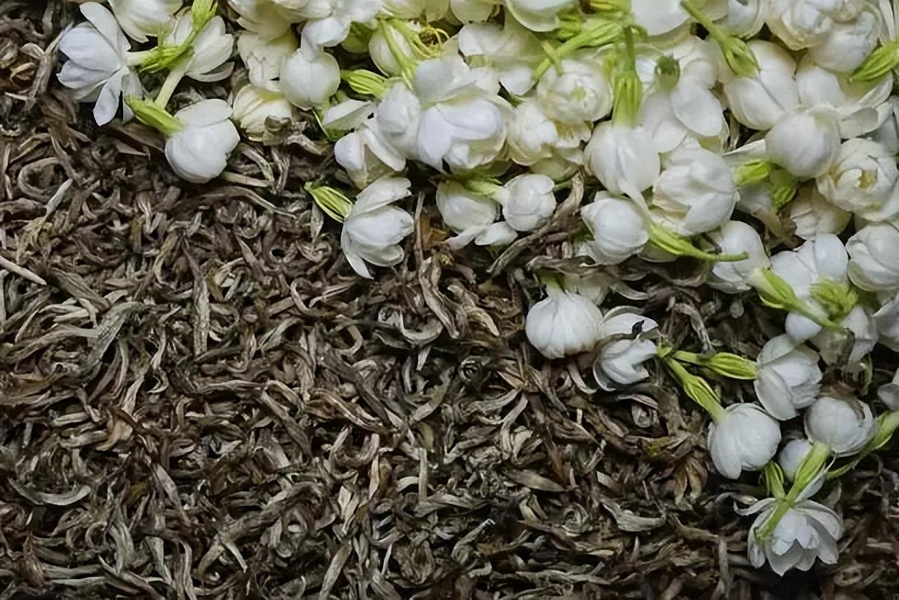 福州茉莉花茶的与众不同,第1张