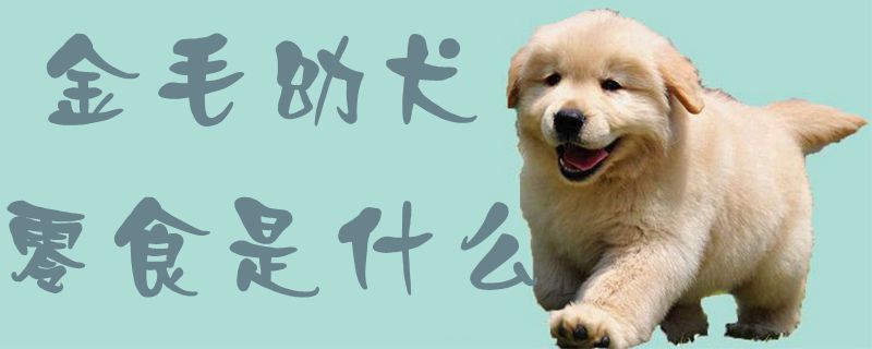 金毛幼犬零食是什么,第1张