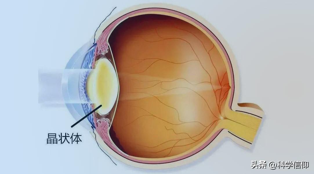 随便写个字就能测出近视的度数，这是何原理？眼睛为什么会近视？,第2张