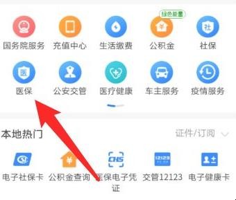 居民医保如何查询,居民医保,第4张