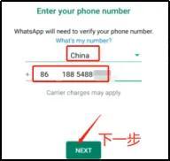 如何通过添加通讯录和WhatsApp好友聊天,第3张