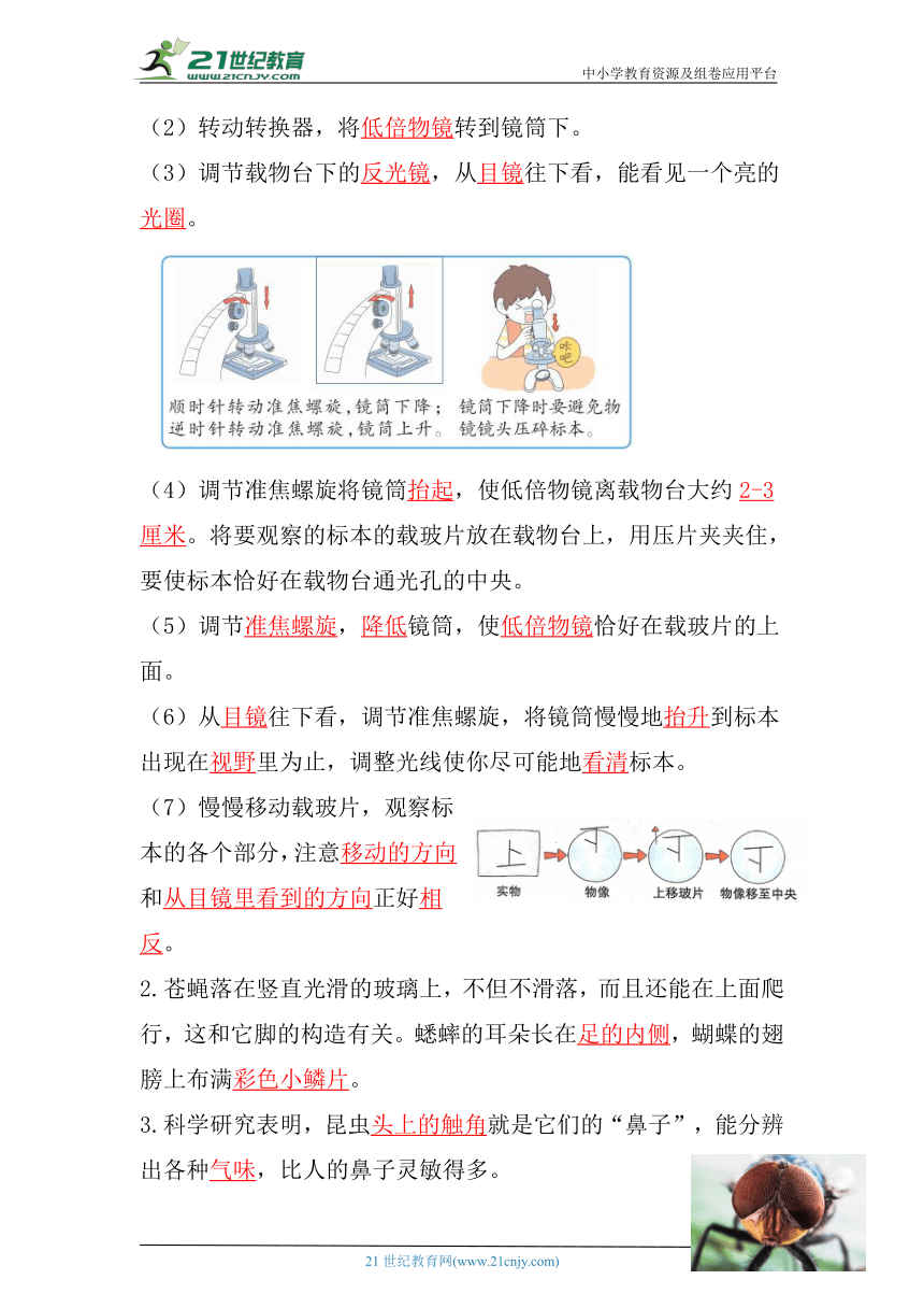 「轻松备考」教科版科学六年级上册单元知识点梳理,「轻松备考」教科版科学六年级上册单元知识点梳理,第5张