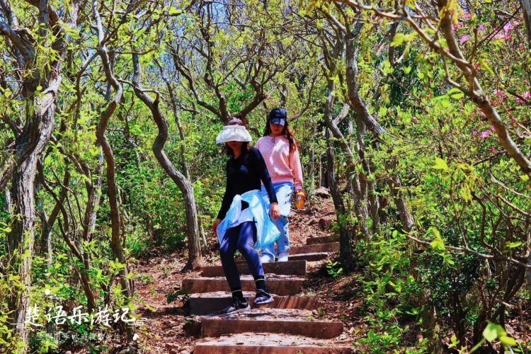 宁波的古道和登山步道有哪些,第1张