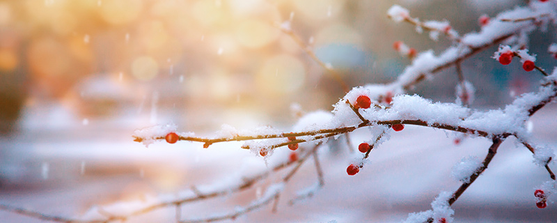 雪花的种类,雪12.jpg,第1张